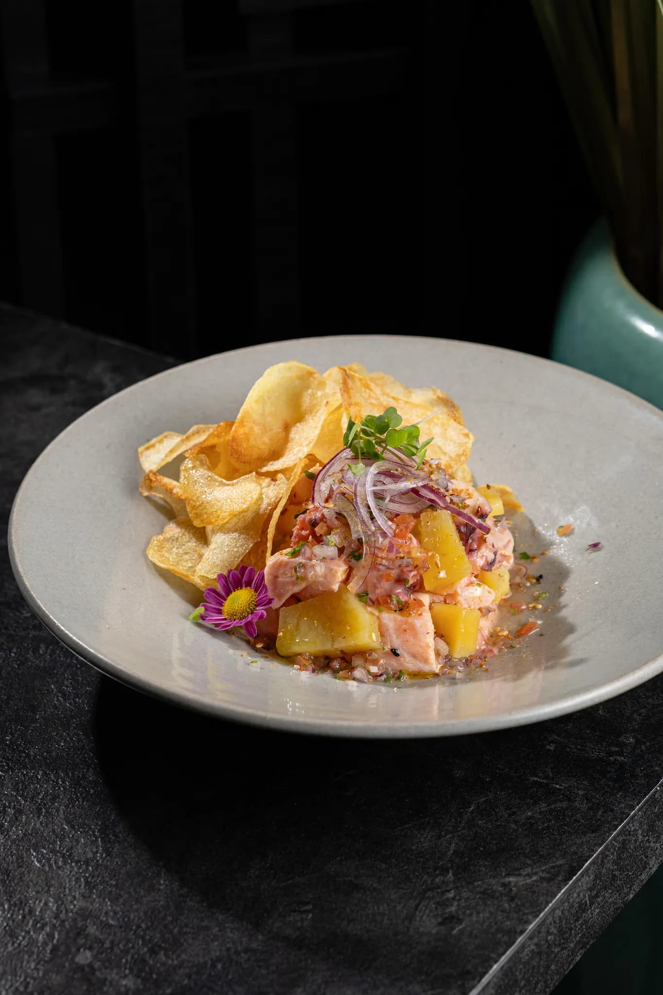 Ceviche Premium